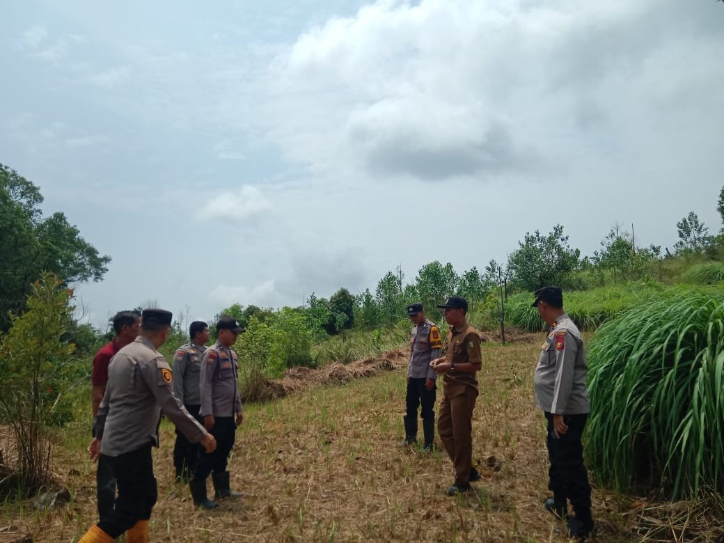 CAMAT KUANTAN MUDIK TINJAU KEGIATAN REBOISASI DI DESA KASANG